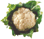 Cauliflower