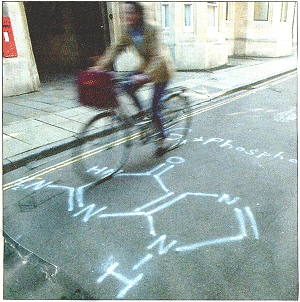 Picture:MMP Cambridge [Metro Sep17,2006]