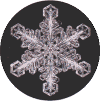 Snowflake
