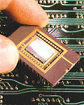 Microchip