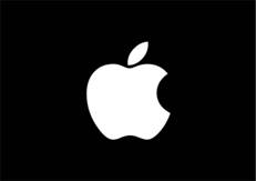 apple_canvasprv.jpg