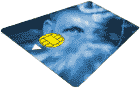 smart_card.gif (9736 bytes)