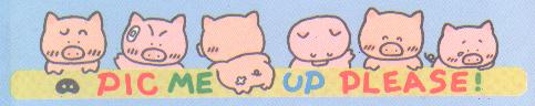 /user/babypig4.JPG