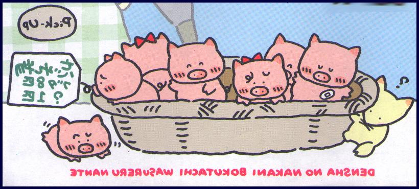 /user/babypigs.JPG