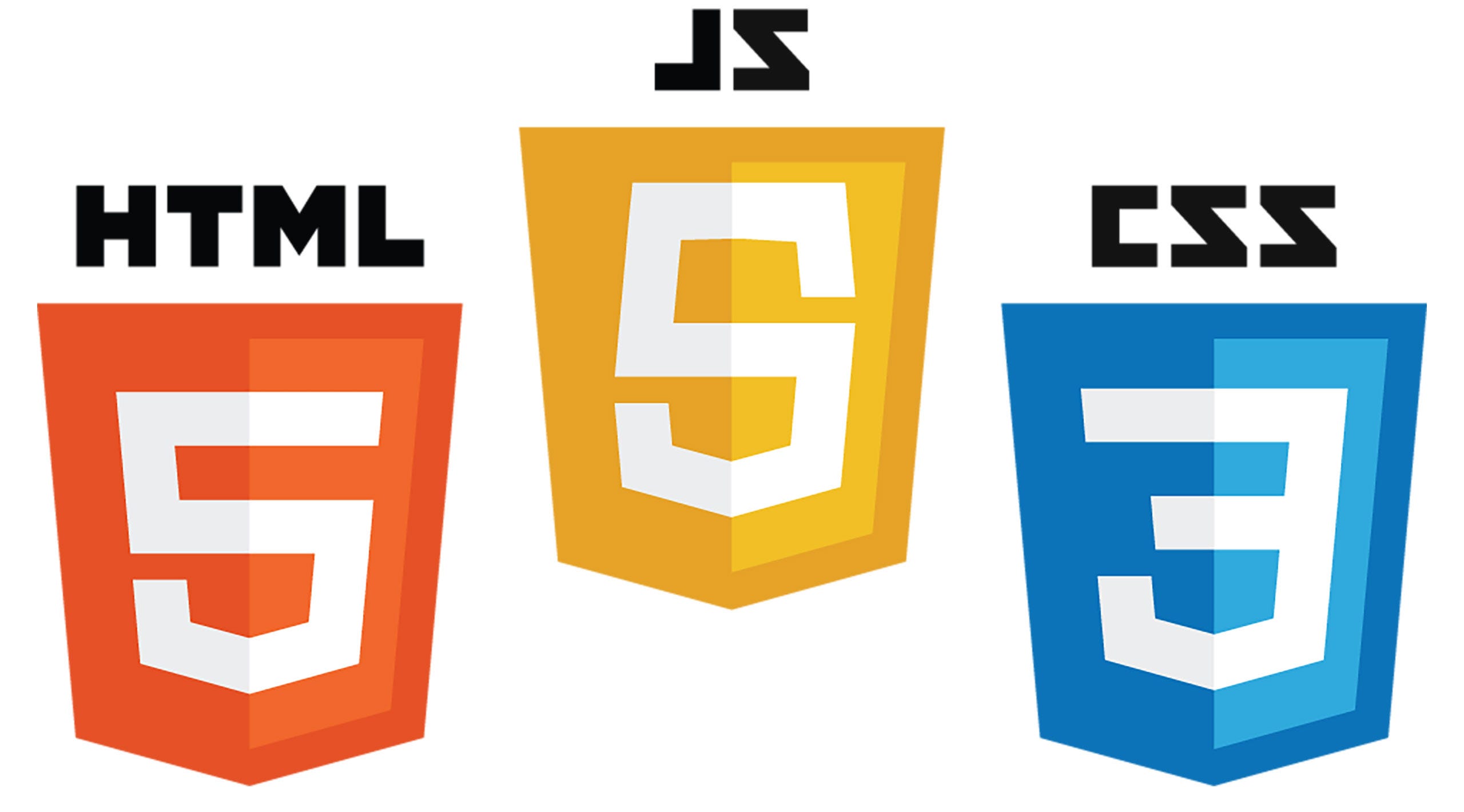 Website Design