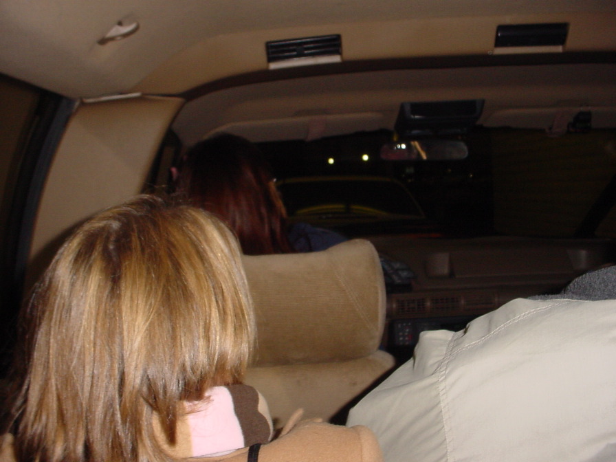 The Good Van Went to Del Taco