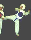 photo: blue belt kick