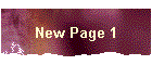 New Page 1