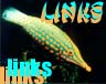 Links