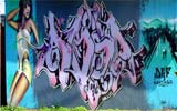 abse_chile_dgf_crew_415f8