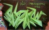 hokum_fg04