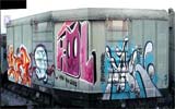 trzkl01
