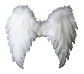 I have a pair of angel wings