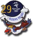 29 Sleeps to Go Pins