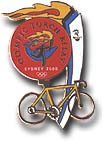 Torch Transport Cartoon - Bike pin