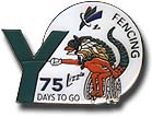 75 Days to Go Paralympic Pin