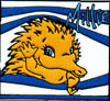 Sydney 2000 Olympic Pin