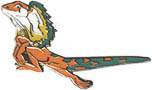 Sydney 2000 Olympic Pin