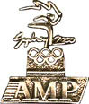 AMP Sponsor Pin