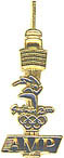 AMP Sponsor Pin