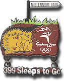 399 Sleeps to Go Pin