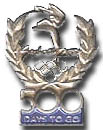 500 Days to Go Pin