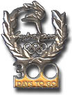 Pewter 300 Days to Go Pin