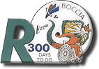 300 Days to Go Paralympic Pin