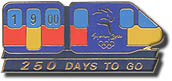 250 Days to Go Pin