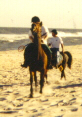beach