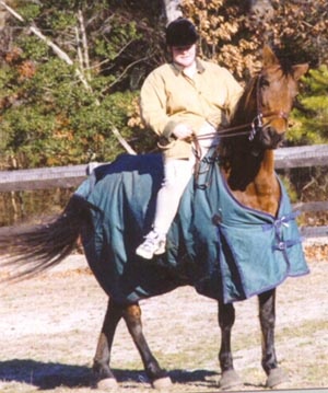 bareback dressage