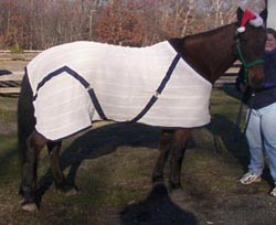 new sweat sheet