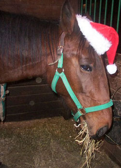 santa hat