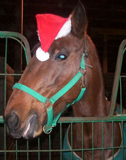 santa hat