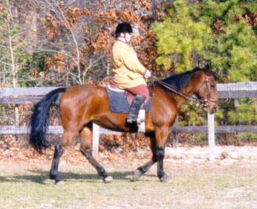 winter riding