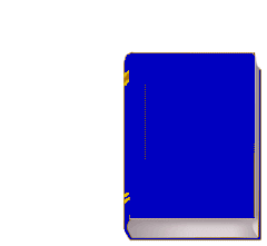 graphics by Wiz Web Site Design.com 