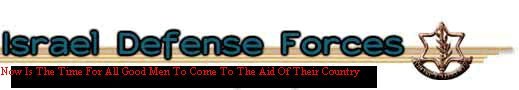 Official IDF Site
