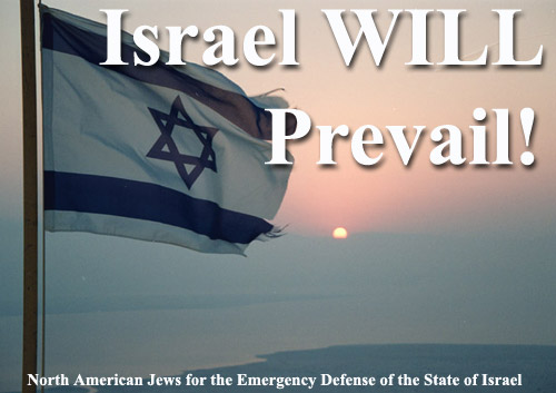 Defend Israel Site:
