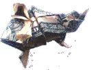 sm-horney-toad.gif (7755 bytes)