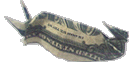 sm-penguin.gif (5354 bytes)
