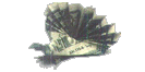 sm-turkey.gif (4669 bytes)
