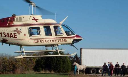 Shar was 6 months pregnant and on a loose lead, she wanted her turn to ride!! Picture credit Curtis Mathis, Air Evac Flight Nurse
