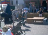 "Balloons and strollers.....means kids, and kids means lots'a pettin' and treats!" 