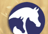 Visit the official site of the Arabian horse!!