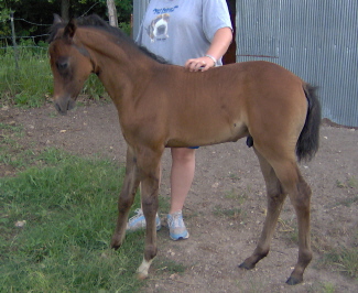 Lot's of itchies........clic clic........scratch!! Photo at 6 weeks of age.