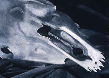 Charcoal on black paper