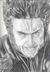 wolverine