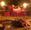 WILD PIG ROAST