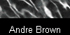  Andre Brown 