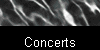  Concerts 